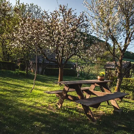 Privat bolig Privat Lubica
